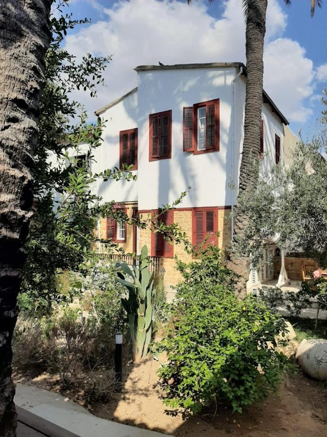 ניקוסיה Palm Garden Guest House מראה חיצוני תמונה