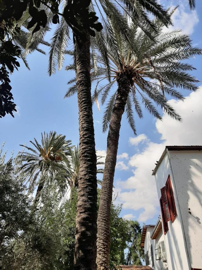 ניקוסיה Palm Garden Guest House מראה חיצוני תמונה