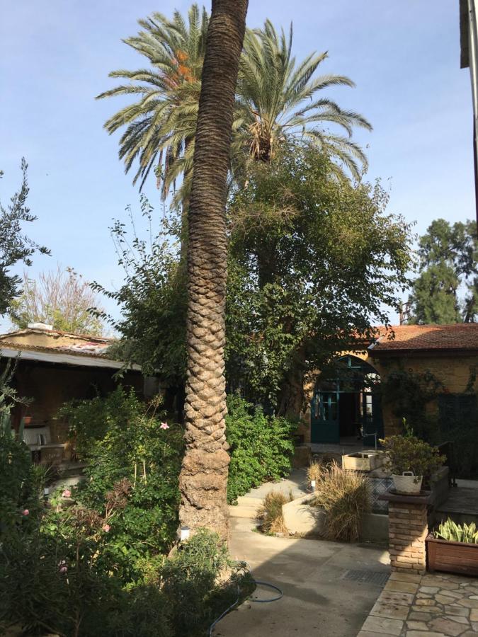 ניקוסיה Palm Garden Guest House מראה חיצוני תמונה
